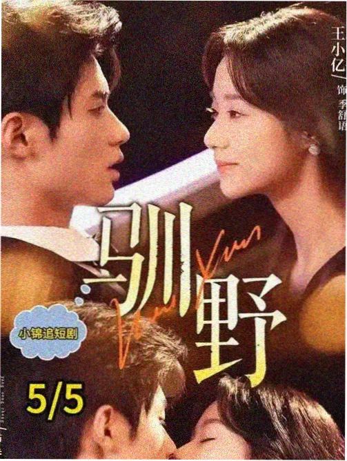 影视乐园剧集架 第七个证人 法庭剧照占位图